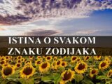 Istina o svakom horoskopskom znaku, Rak je majstor ljubavi, a Strelca oznacava sloboda i avantura !