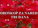 Horoskop za naredna tri dana , sjajno doba za Ovna i Lava .