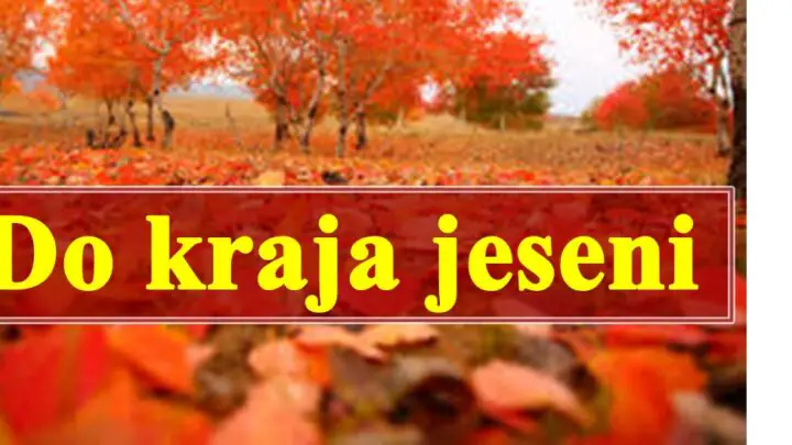 Cuda su moguca ako verujete u njih vreme je da saznate sta vas ceka.