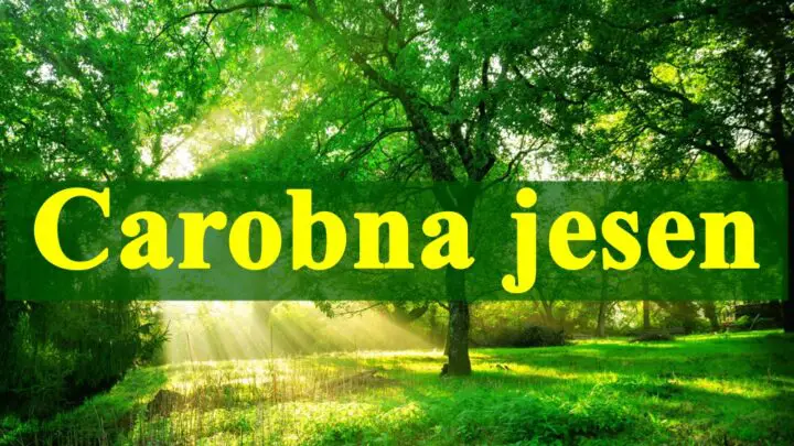 Jesen donosi čarobne, ali i izazovne trenutke za mnoge znakove, pružajući priliku za promene, rast, i nove početke.