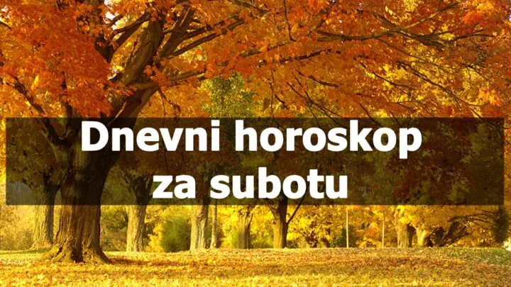 Dnevni horoskop za subotu, Ovan energican a Lav se oseca kao neka zvezda pleni harizmom.
