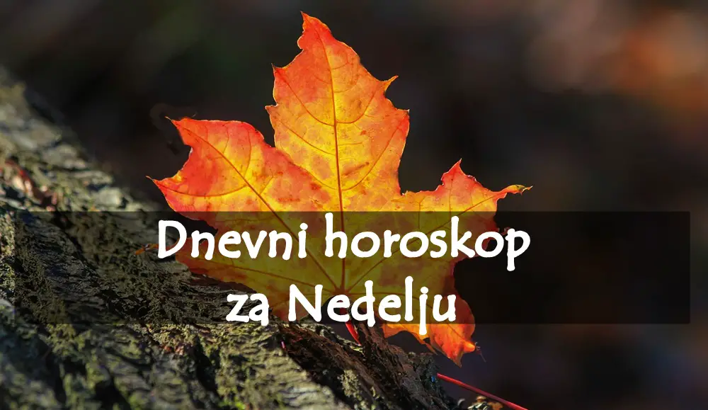 Dnevni horoskop za nedelju, Devica se okrece hobiju, a Ribe se posvecuju sebi .