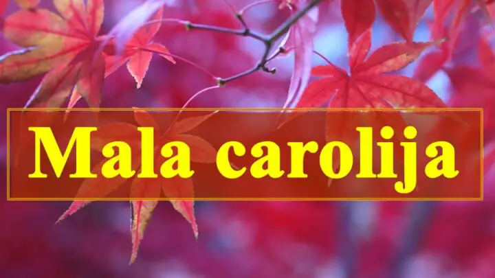 Mala carolija ocekuje Blizance i Devicu dok ce Ribe biti tuzne.