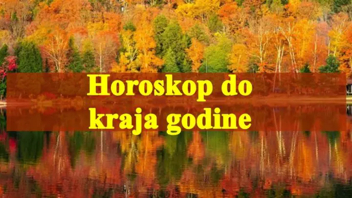 Evo kratkog pregleda velikog horoskopa za sve znakove do kraja 2024. godine.
