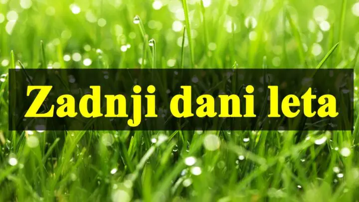 Zadnji dani leta, Bikovi osecaju potrebu da vise vremena provode kod kuce, a vagama sledi samo harmonija .