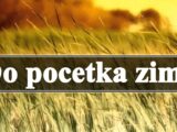 Do pocetka zime najavljuju se velike promene za neke zodijake.