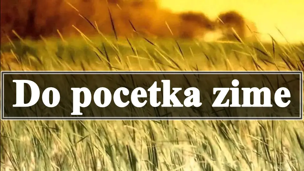 Do pocetka zime najavljuju se velike promene za neke zodijake.