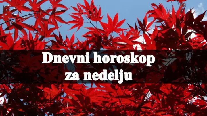 Vreme je za veliku srecu,a nekome i fatalni susret!