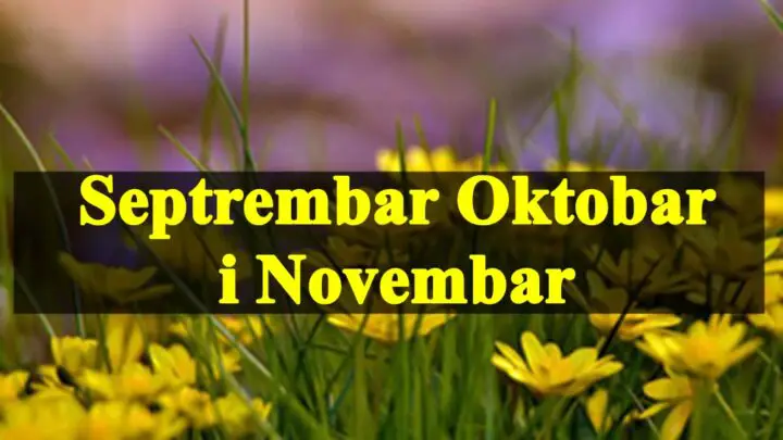 Septembar oktobar i novembar saznajte sta vas u ovom periodu ocekuje .