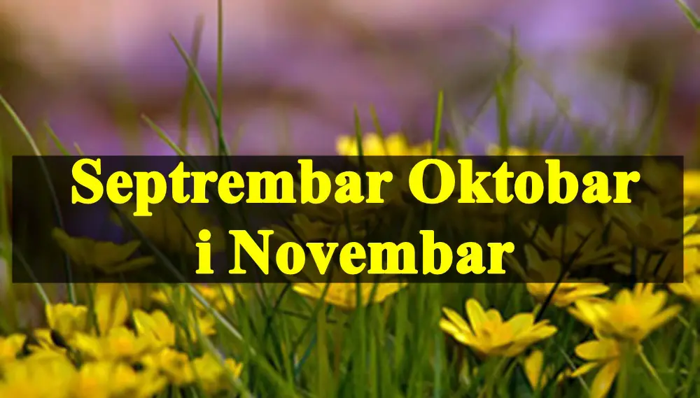 Septembar oktobar i novembar saznajte sta vas u ovom periodu ocekuje .