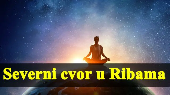 Severni cvor u Ribama , predstavlja lekcije koje moramo nauciti, nekome se menja zivot iz korena.