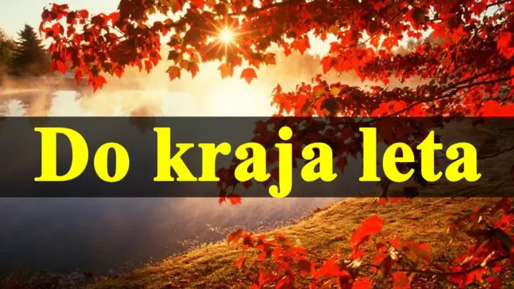 Do kraja leta svaki znak zodijaka ima prilike za licni rast i razvoj evo i desavnja u poslu ljubavi i zdravlju.
