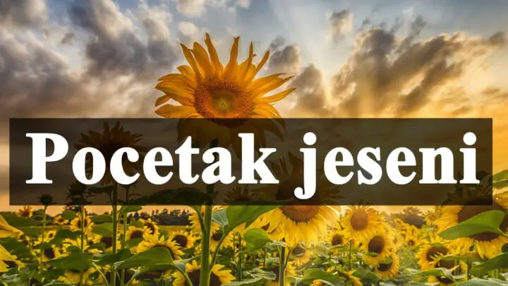Pocetak jeseni evo sta vam to sa sobom donosi.
