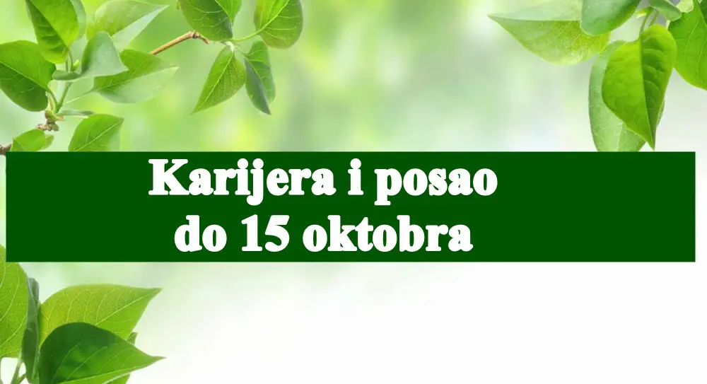 Posao i karijera za sve znake zodijaka do 15 oktobra.