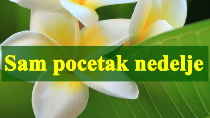 Horoskop za sam pocetak nedelje , evo sta vas to ceka.