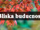 Bliska budućnost Raku donosi veliku sreću, dok će ovaj znak imati osećaj da se ceo njegov svet ruši!