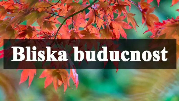 Bliska budućnost Raku donosi veliku sreću, dok će ovaj znak imati osećaj da se ceo njegov svet ruši!