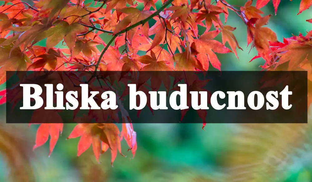 Bliska budućnost Raku donosi veliku sreću, dok će ovaj znak imati osećaj da se ceo njegov svet ruši!