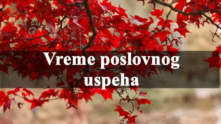 Za Ovna i Vodoliju, naredni period donosi obilje poslovne sreće i finansijskih dobitaka.