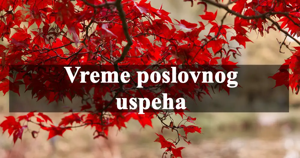 Za Ovna i Vodoliju, naredni period donosi obilje poslovne sreće i finansijskih dobitaka.