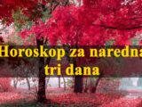 Ovan raspolozen, Lav se kaje, Vagama stize neocekivana vest…