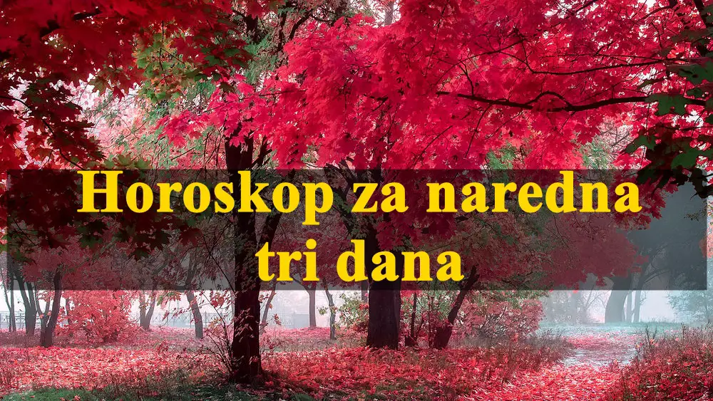 Ovan raspolozen, Lav se kaje, Vagama stize neocekivana vest…