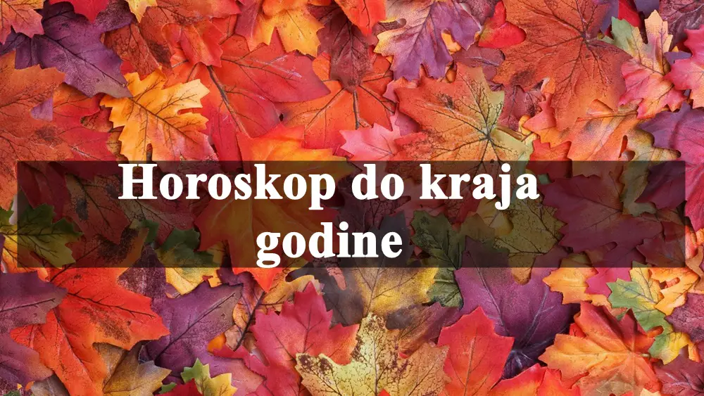 Do kraja 2024. godine, svaki znak zodijaka treba da bude otvoren za nove mogucnosti koje ga cekaju.