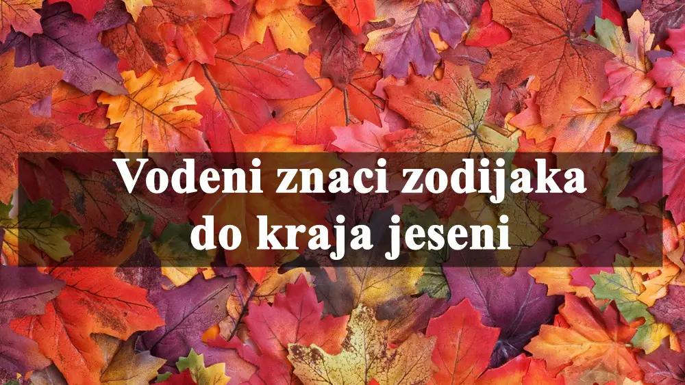 Vodeni znaci zodijaka do kraja jeseni evo sta ih to ceka.