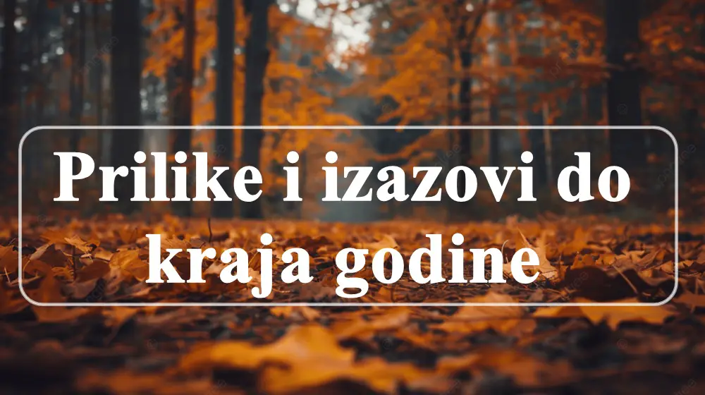 Do kraja godine neki znaci uzivaju u poslovnim prilikama a drugi dozivljavaju emotivne promene.