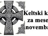 Kelstski krst za novembar  Jarci oprezno moguci su izazovi koji vas mogu izbaciti iz takta.