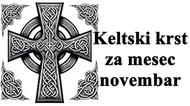 Kelstski krst za novembar  Jarci oprezno moguci su izazovi koji vas mogu izbaciti iz takta.