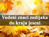 Vodeni znaci zodijaka do kraja jeseni, saznajte sta ih to ceka.