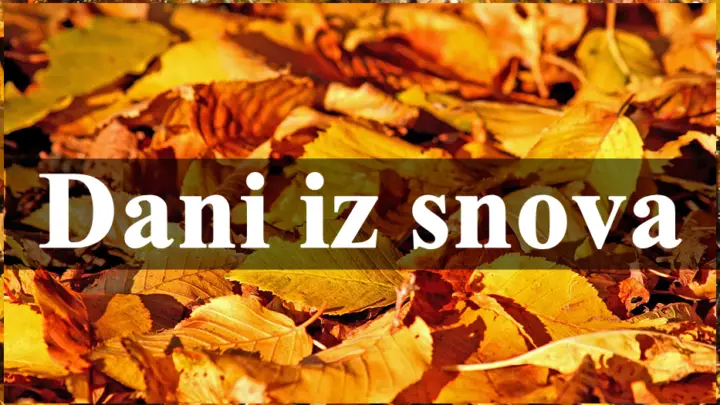 Dani iz snova slede ovim znacima zodijaka, sve im ide od ruke