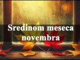 Sredinom meseca novembra Rakovi poslovna situacija je stabila ali se mogu javiti iznenadni troskovi.