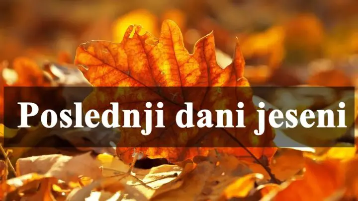 Horoskop za poslednje dane jeseni za sve znakove zodijaka (od 21. novembra do 21. decembra)!