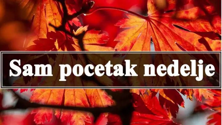 Za početak nedelje, svi znakovi zodijaka će biti pod uticajem energičnih i promjenjivih energija koje donose i izazove i prilike.