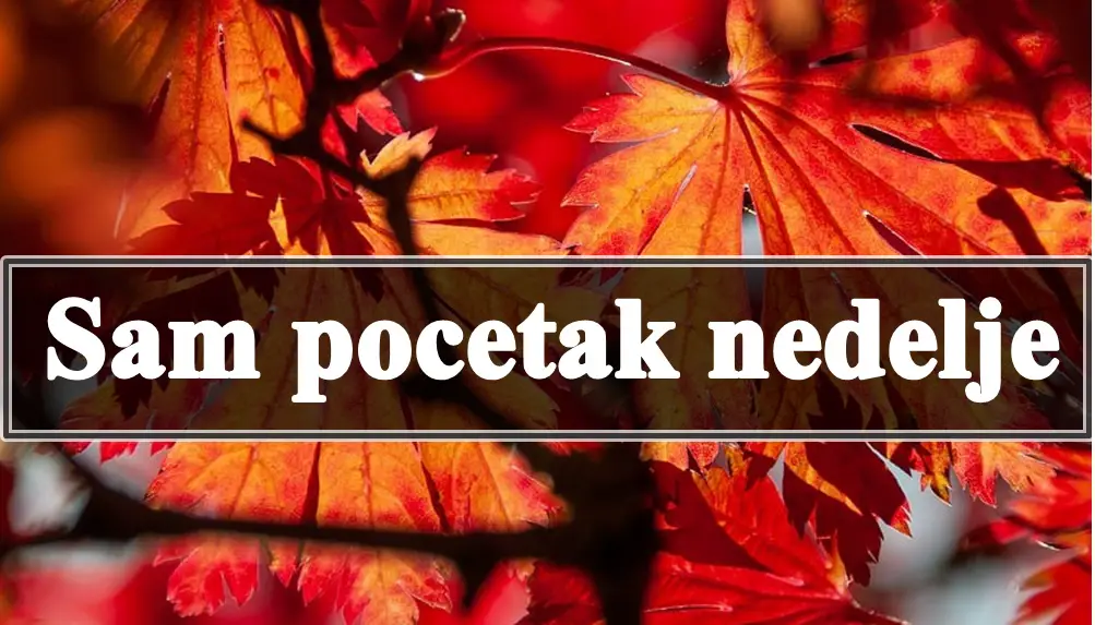 Za početak nedelje, svi znakovi zodijaka će biti pod uticajem energičnih i promjenjivih energija koje donose i izazove i prilike.