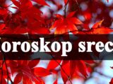 Horoskop srece za sve zodijake do 15 novembra !