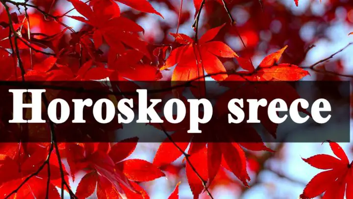 Horoskop srece za sve zodijake do 15 novembra !