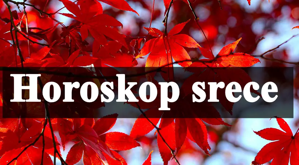 Horoskop srece za sve zodijake do 15 novembra !