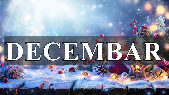 Decembar donosi Biku priliku za novi početak, posebno u vezi sa karijerom.