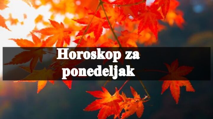 Vage će ponedeljak provesti u razmišljanju o svojim emotivnim vezama i odnosima sa drugima.