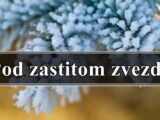 Ako ste rodjeni u ovim znacima zodijaka znajte da ste pod zastitom zvezda !