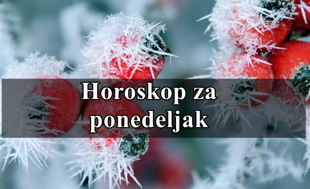 Horoskop za ponedeljak, 9. decembar 2024. – Detaljna prognoza za sve znakove