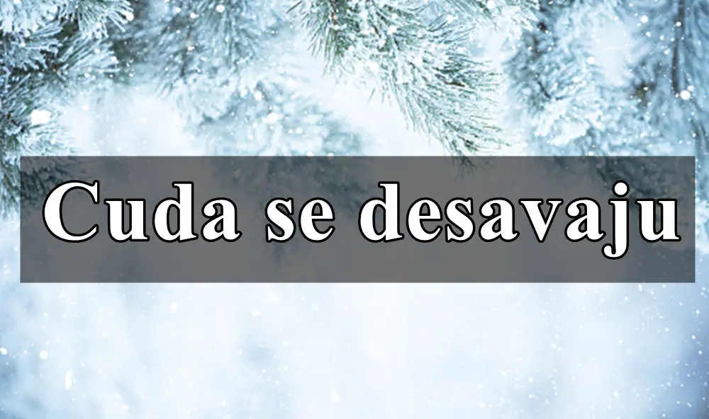 Zvezde za Skorpiju i Vodoliju u smiraj godine donose posebne prednosti, što je odlična vijest za predstavnike ovih znakova.