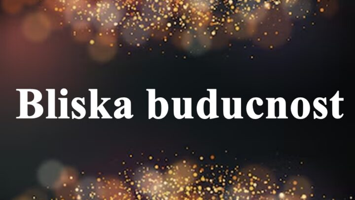 Ovnovi energicni  Raku leui fokus na porodicu i domu a Lavovi ambicozni.