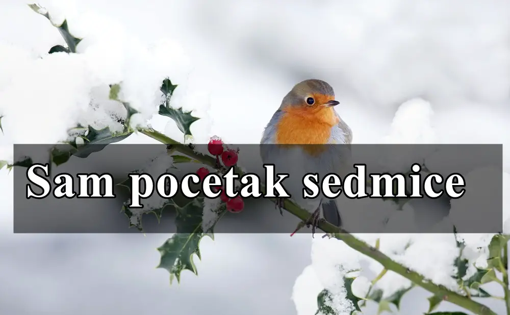 Sam pocetak sedmice donosi vazne promene, evo i koje !