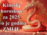 Kineski horoskop za 2025 godinu, ovo je godina zmije koja sa sobom nosi sudbonosne promene.