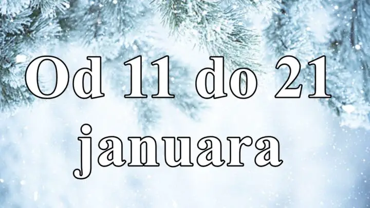 Ovaj period između 11. i 21. januara donosi značajnu priliku za unutrašnji rast i promene, kao i za dublje povezivanje s partnerima i saradnicima.