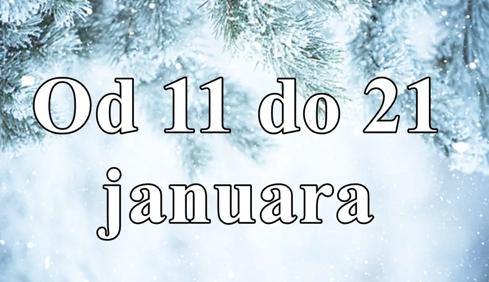 Ovaj period između 11. i 21. januara donosi značajnu priliku za unutrašnji rast i promene, kao i za dublje povezivanje s partnerima i saradnicima.